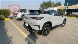 شانجان يوني تي